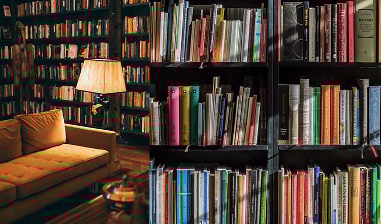 Heimbibliothek erstellen mit Master Regale Heimbibliothek-erstellen-mit-Master-Regale