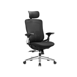 Schreibtischstuhl, Ergonomisch, Verstellbar, Schwarz-Silber, 115-125x70x70cm