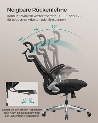 Schreibtischstuhl, Ergonomisch, Verstellbar, Schwarz-Silber, 115-125x70x70cm - Hover